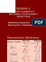 Semana 5: Unidad Académica 2: Bacterias, Fitoplasmas Y Rickettsias Metabolismo Bacteriano, Reproducción, Clasificación