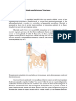 Sindromul Gluteus Maximus