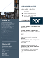 Curriculum Abogado Luis Castro PDF