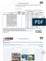 DIADESOL - Ficha de Reporte