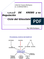 Glúcidos S3-1