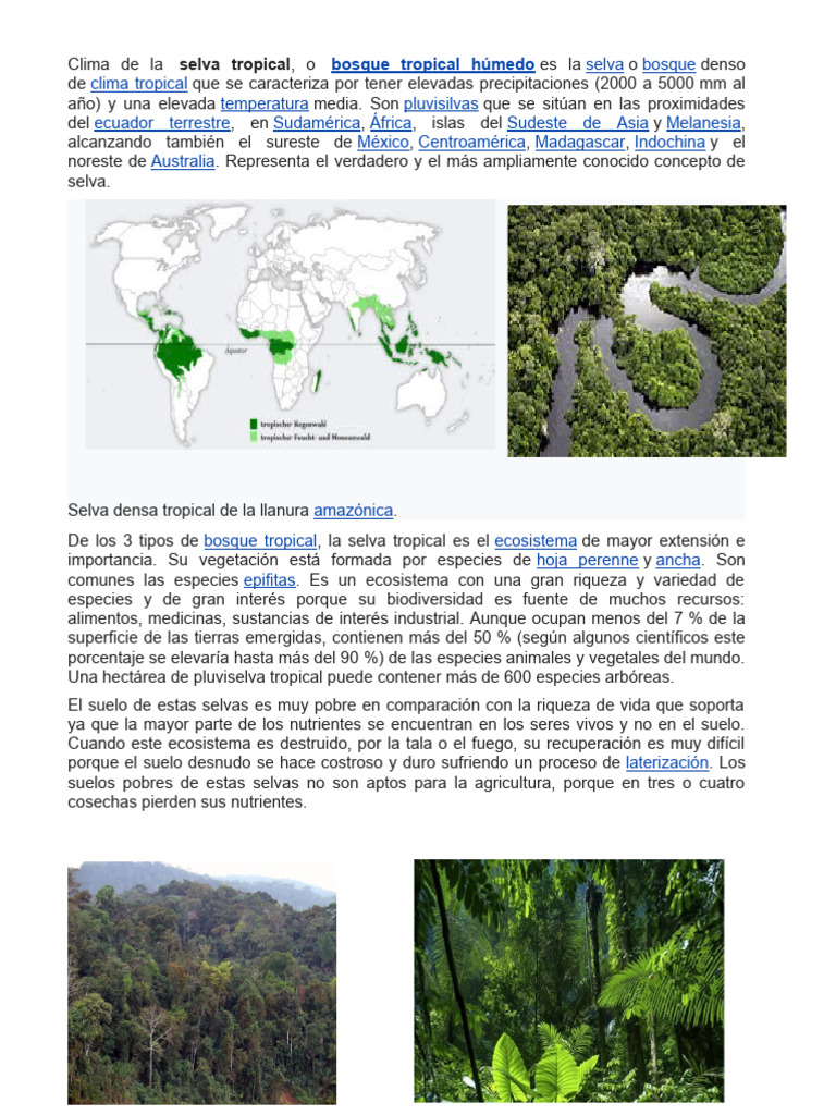 Clima de la Selva Tropical Húmeda | PDF | Ciencia y matemáticas ...