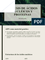Síntesis de Ácidos Nucléicos y Proteinas - Karla Guadalupe Villanueva Maldonado