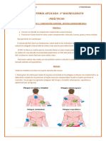 Práctica 2.-Composición Corporal. Método Antropométrico