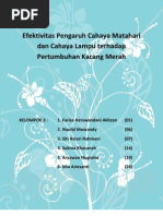 Download Efektivitas Pengaruh Cahaya Matahari Dan Cahaya Lampu Terhadap Pertumbuhan Kacang Merah by kakashi_ary SN70071923 doc pdf