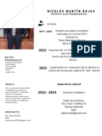 Copia de Rojo y Blanco Tipográfico Infográfico Currículum