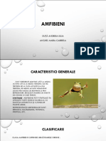 AMFIBIENI