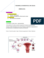 Primeras 4 Semanas de Embriologia