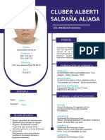 CV Profesional Cluber2024