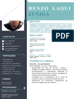 CV Profesional Renzo Laqui 2024