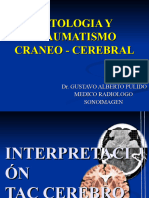 Patologia y Traumatismo Craneal