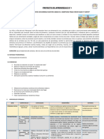 E. Proyecto Aprendizaje N°8 - Adelita PDF