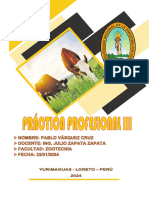 Informe de Practica 3 Orominas