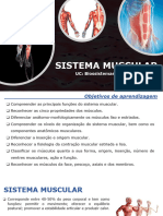 Sistema Muscular - Anatomia