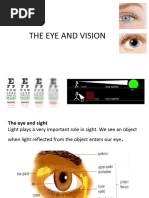 Eye and Vision