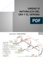 Unidad VI Naturaleza Del Gen y El Genoma