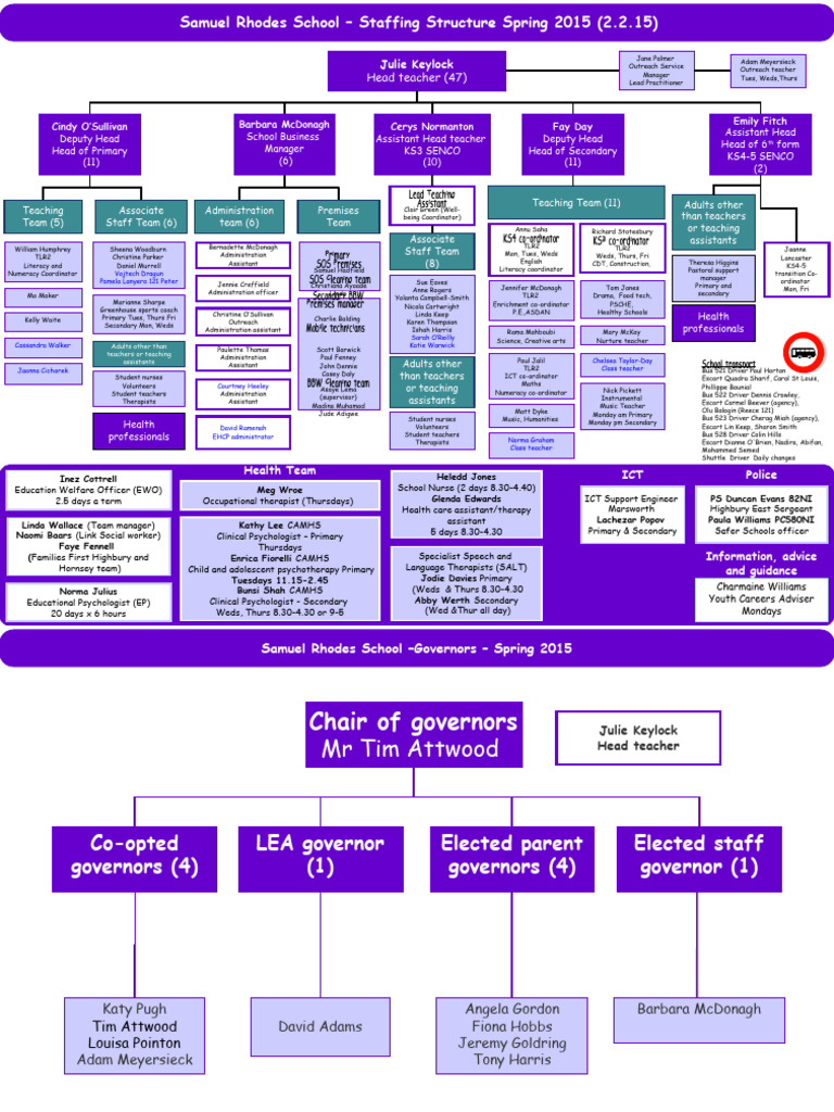 Samuel Rhodes School Staffing Overview | PDF | Mental Health | Health Care