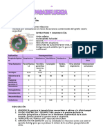 PARAINFLUENZA