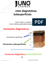 Aula 7 Horizontes Subsuperficiais Diagnosticos 2023