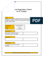 Plan de Seguridad y Salud en El Trabajo - CONSTRUC FOCAL