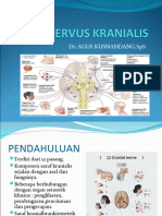 Nervus Kranialis