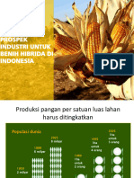 Prospek Industri Untuk Benih Hibrida Di Indonesia V1