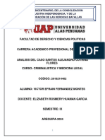 Analisis Del Caso Santos Alejandro Cotrina Flores Final