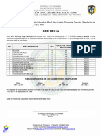 Certificado Solanyi