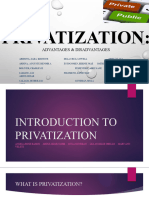 AdvDisAdv of Privatization Group 2