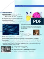 Apuntes Microbiología Basica