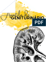 Apostila Sistema Geniturinário