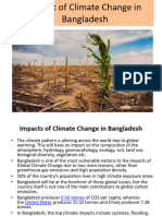 Impact of Climate Change in Bangladesh