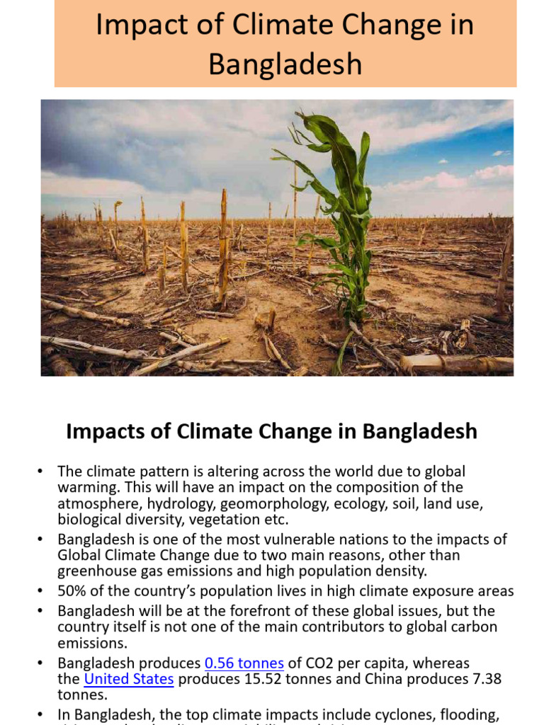 Impact of Climate Change in Bangladesh | PDF | Climate Change | Climate