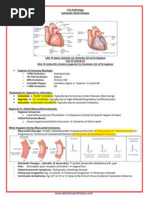 PATH - Ischaemic Heart Disease (13p)