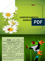 Comportamentul Animalor