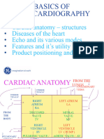 Basics of Echocardiography