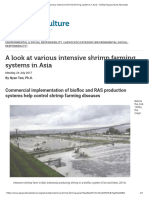 Intensive Shrimp Farming Asia