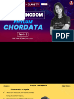 Chordata Part 2