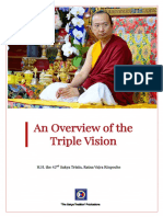 An Overview of The Triple Vision