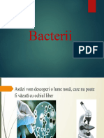 Bacterii