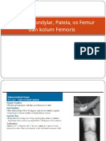 TR Intercondylar Fossa, Patella, Os Femur and Collum Femoris - En.id