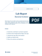 Lab Report - Bacterial Isolation - Updated