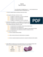 Teste Fisico Quimica 8 Ano Tipos de Reacoes Quimicas