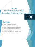 Recueil Des Normes Comptabless Des Collectivités Territoriales