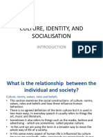 Culture, Identity, and Socialisation