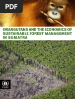 Download Orangutans and the Economics of Sustainable Forest Management in Sumatra by United Nations Environment Programme SN70085362 doc pdf