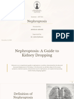 Nephroptosis 