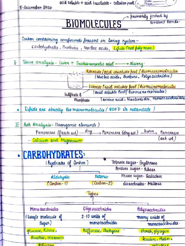 biomolecules | PDF | Chemistry | Organic Chemistry