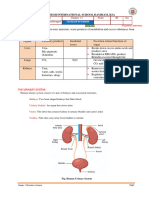 Excretion in Humans IX NOTES