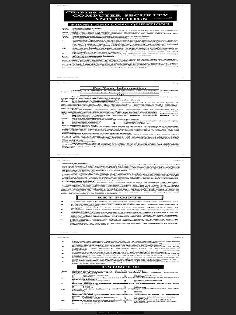 Chapter 6 Class 9 Computer Fed Board | PDF
